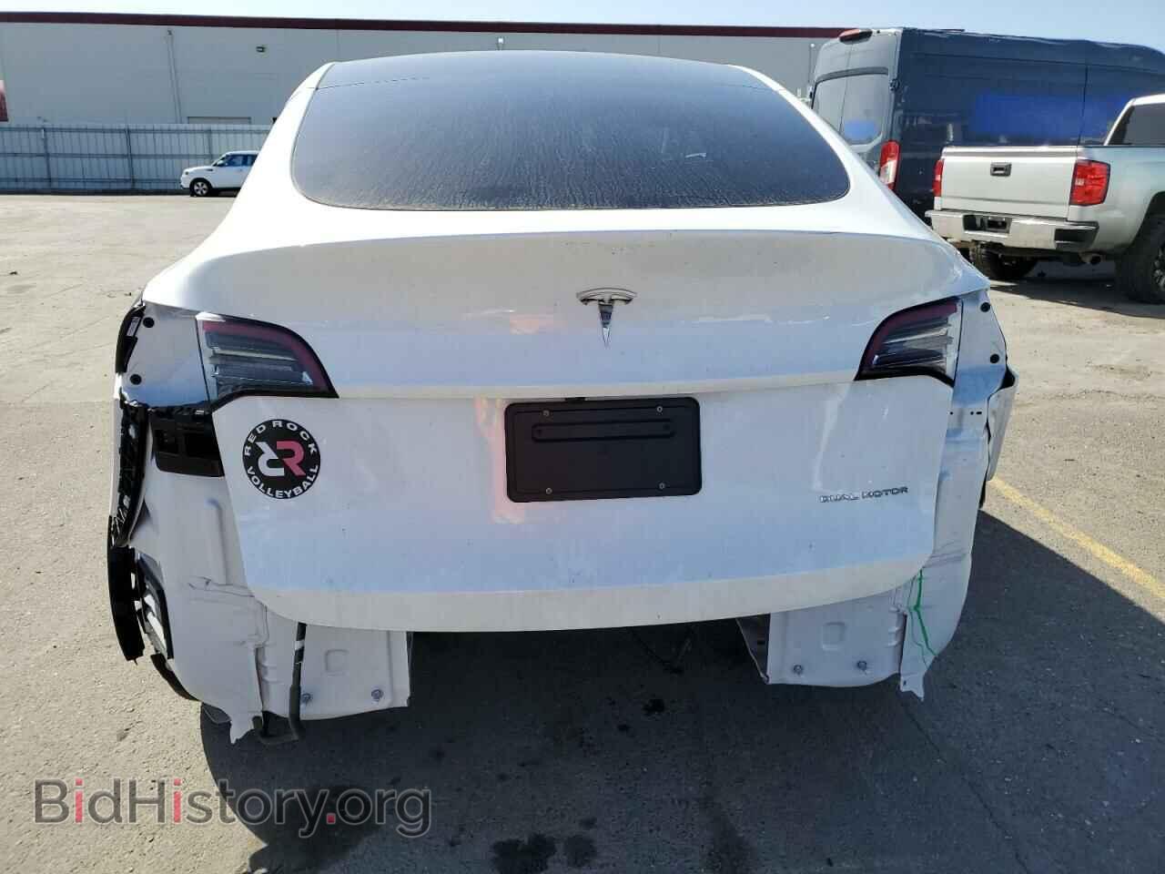 2024 TESLA MODEL Y - VIN: 7SAYGDEE8RF983375 - Фото 6