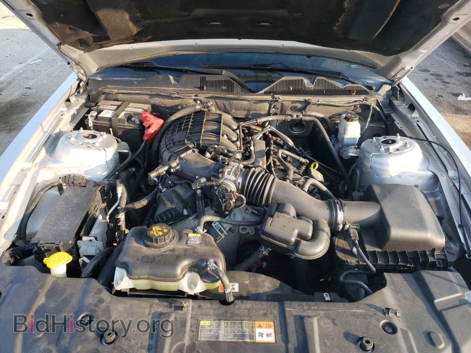 2013 FORD MUSTANG - VIN: 1ZVBP8AM3D5260029 - Фото 7