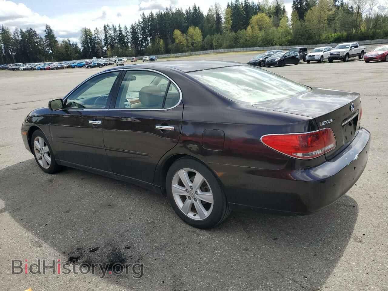 2005 LEXUS ES330 - VIN: JTHBA30G855115670 - Фото 2
