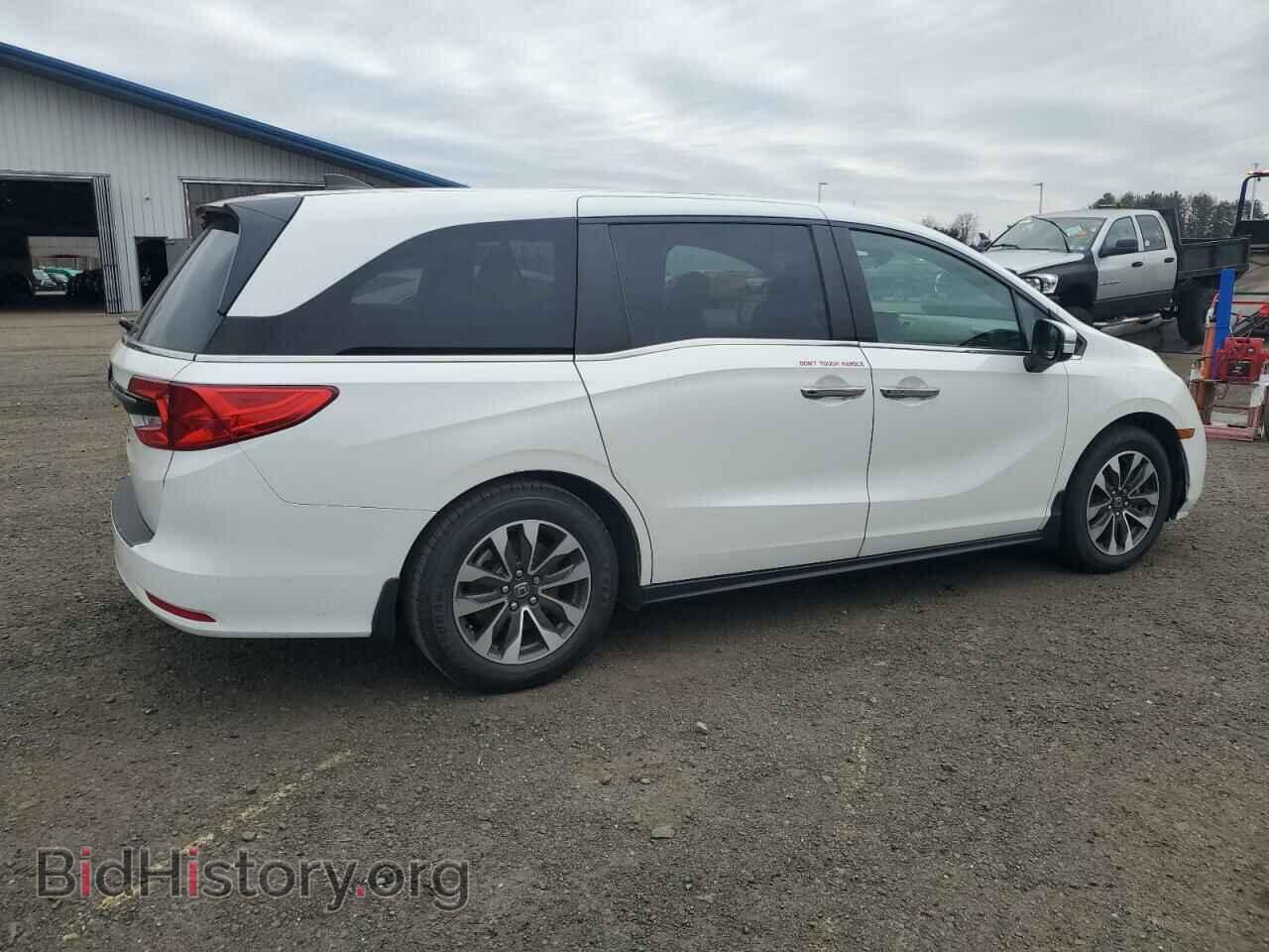 2021 HONDA All Models - VIN: 5FNRL6H74MB010055 - Photo 3