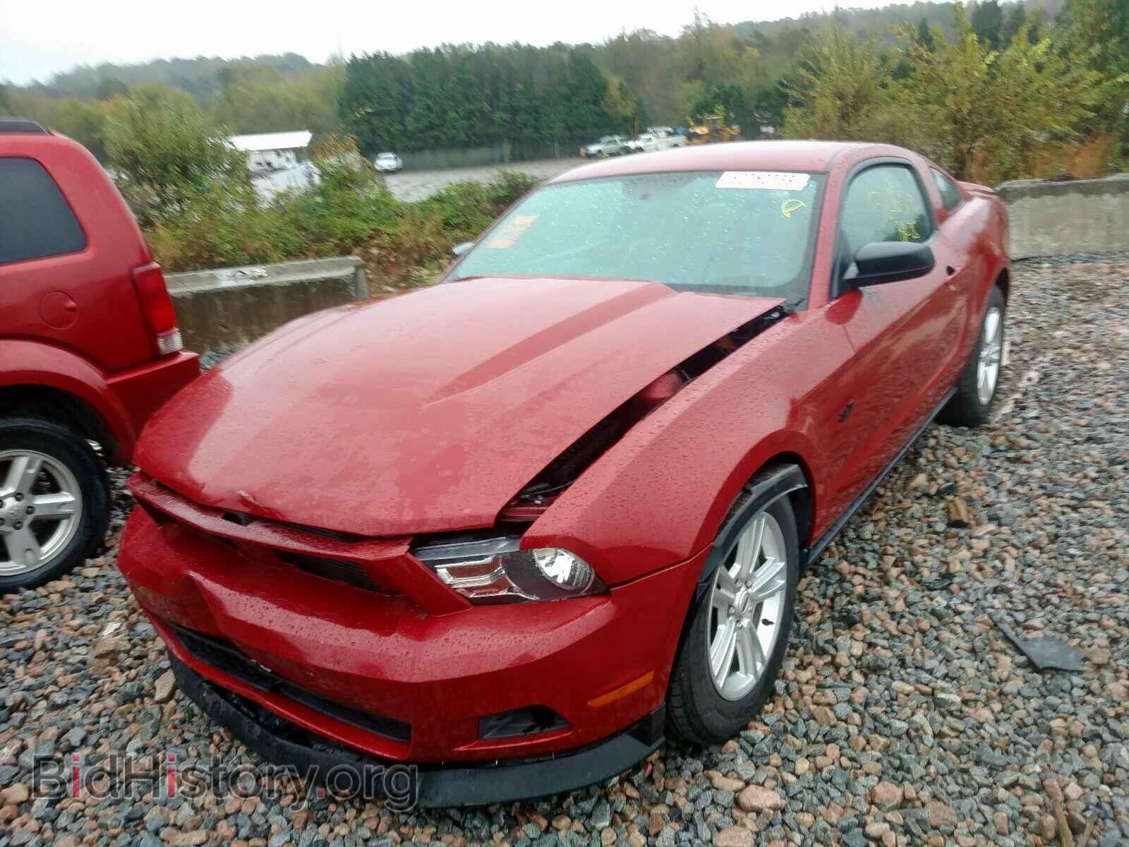 2012 FORD MUSTANG - VIN: 1ZVBP8AM7C5242826 - Фото 2