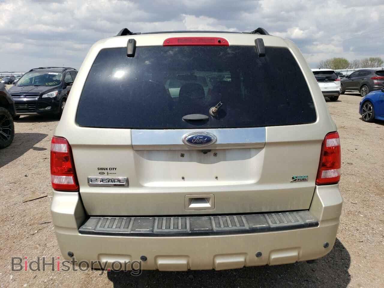2011 FORD ESCAPE - VIN: 1FMCU9EG1BKC04367 - Фото 6