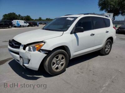 2011 Toyota RAV4, white — VIN 2T3BF4DV6BW159401, Copart