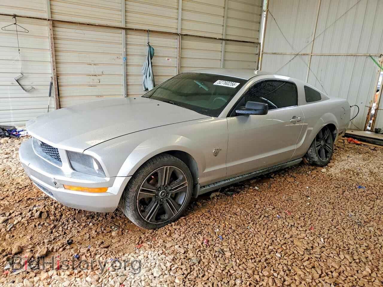 2009 FORD MUSTANG - VIN: 1ZVHT80N195144836 - Photo 1