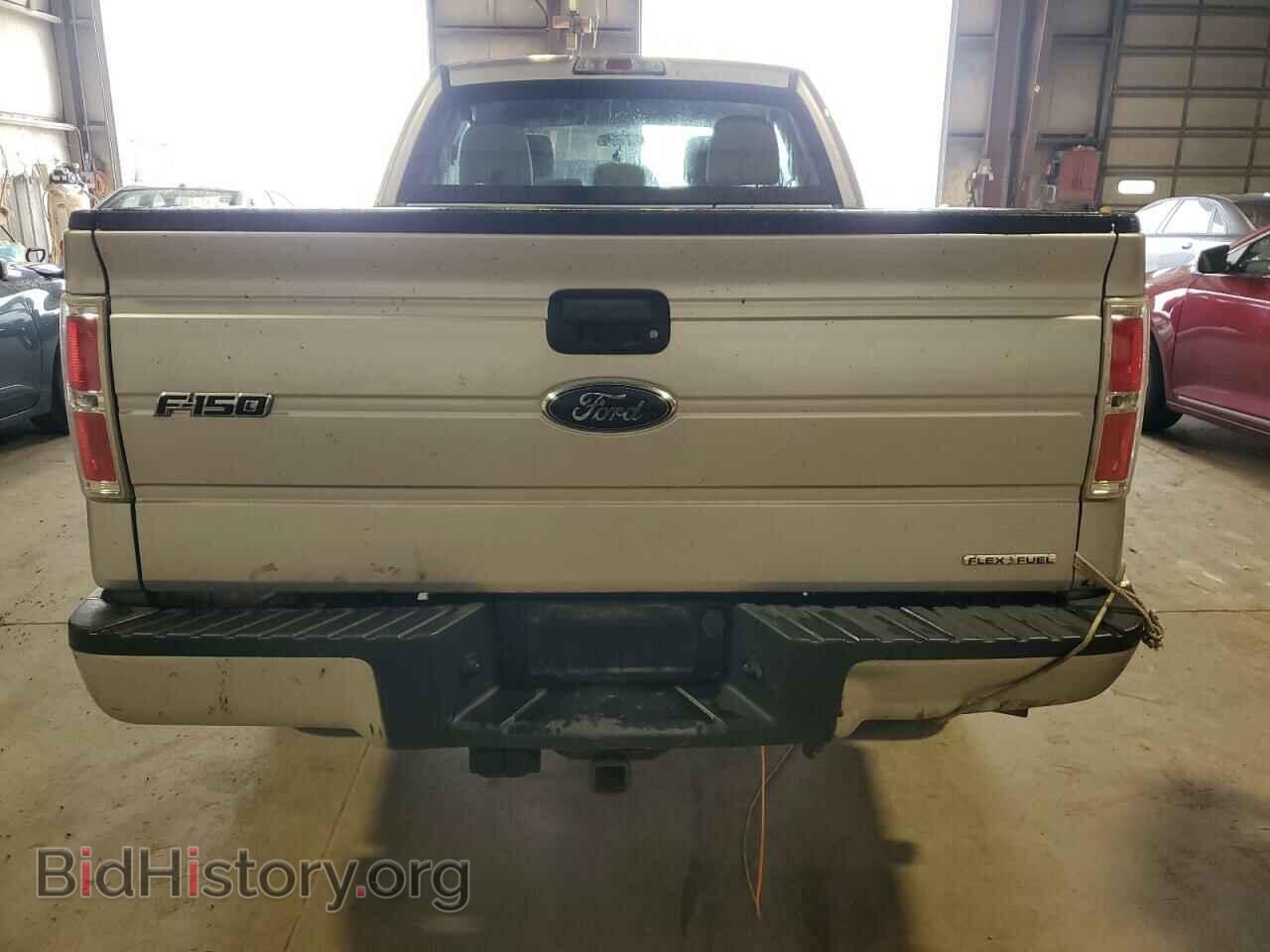 2013 FORD F-150 - VIN: 1FTFX1EFXDFD78239 - Фото 6