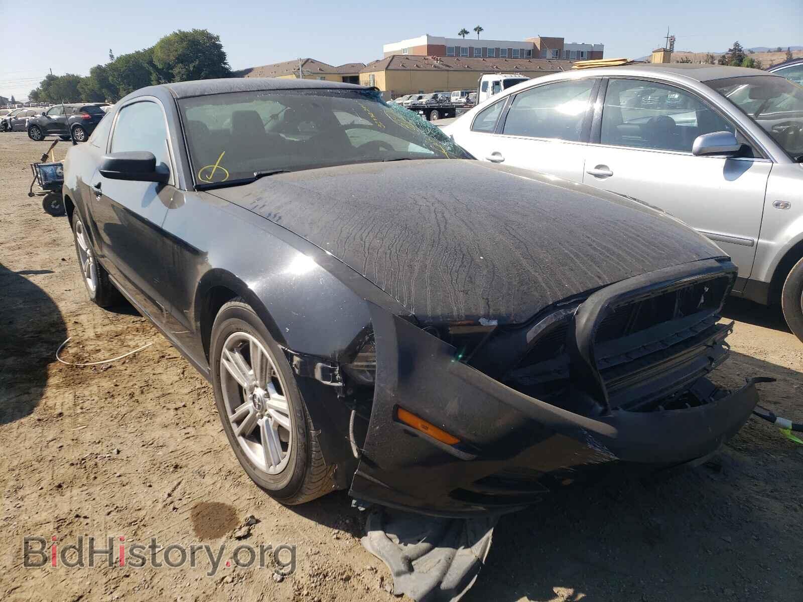 Фотография 1ZVBP8AM9D5283573 - FORD MUSTANG 2013