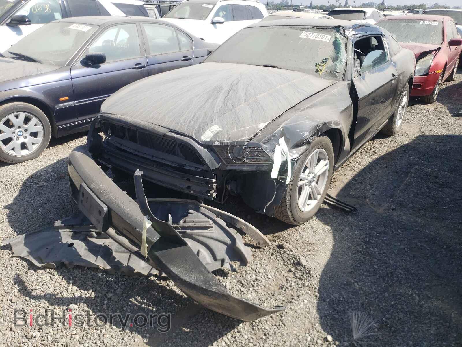 2013 FORD MUSTANG - VIN: 1ZVBP8AM9D5283573 - Фото 2