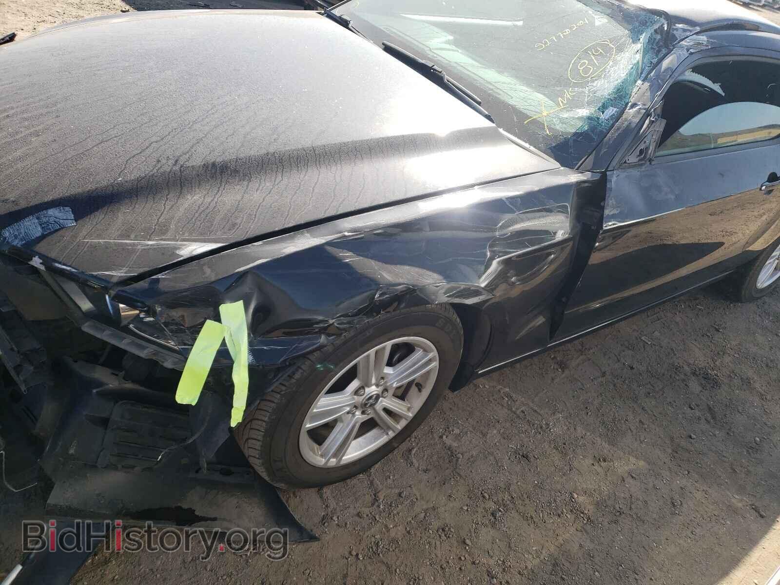 2013 FORD MUSTANG - VIN: 1ZVBP8AM9D5283573 - Фото 9