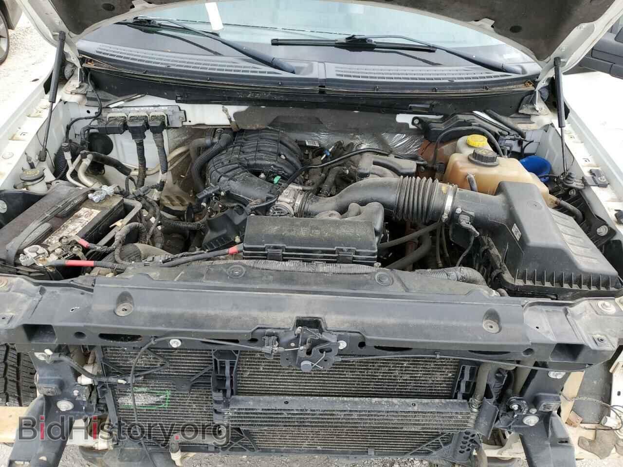 2013 FORD All Models - VIN: 1FTMF1EM1DFB89570 - Photo 11