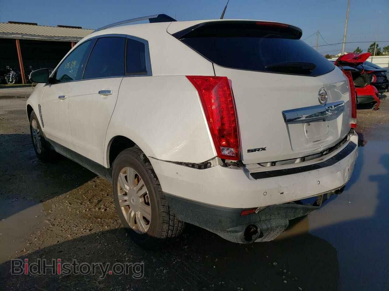 2010 CADILLAC SRX - VIN: 3GYFNAEY1AS642277 - Фото 3