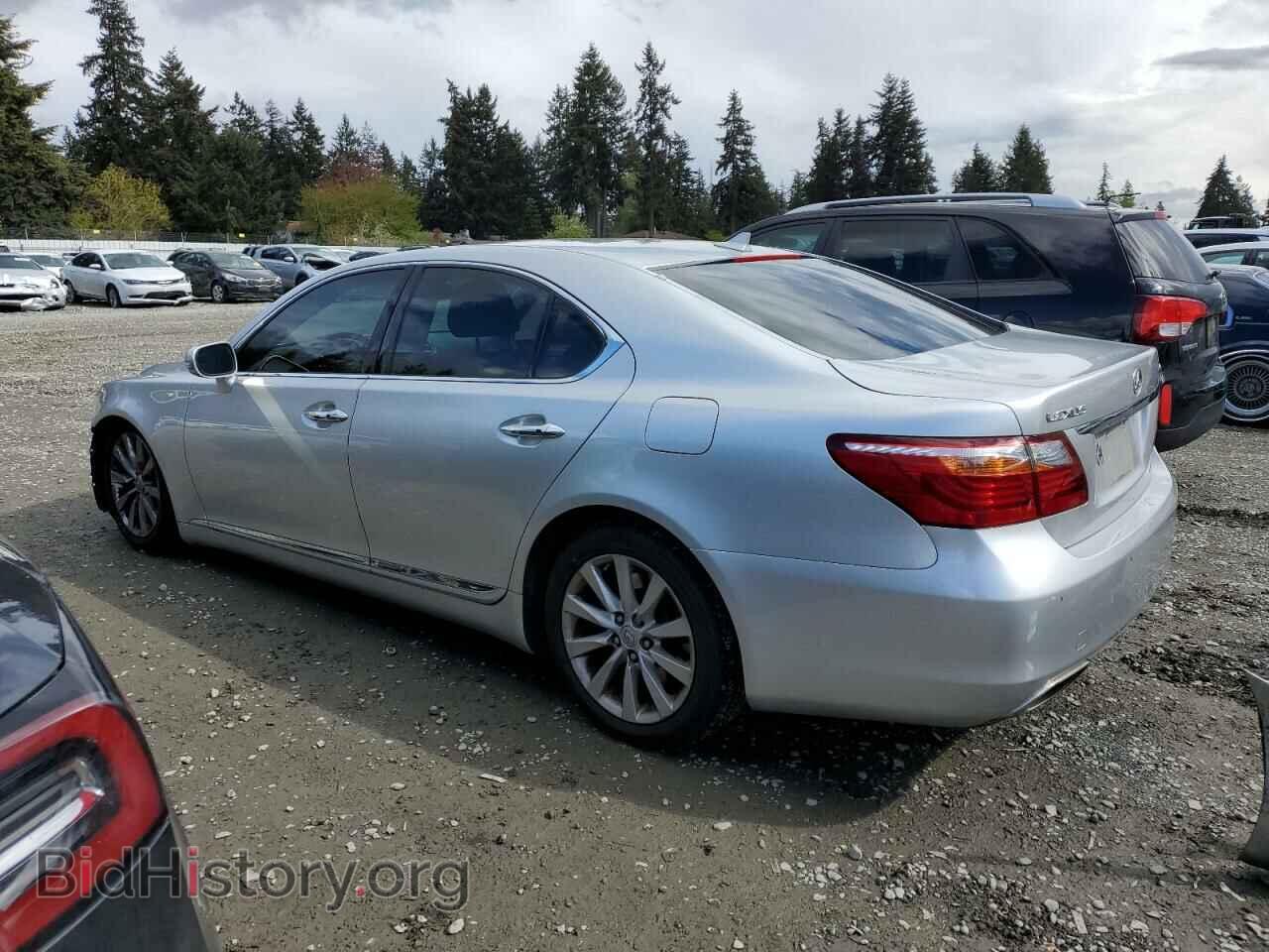 2010 LEXUS LS460 - VIN: JTHCL5EF9A5006834 - Фото 2