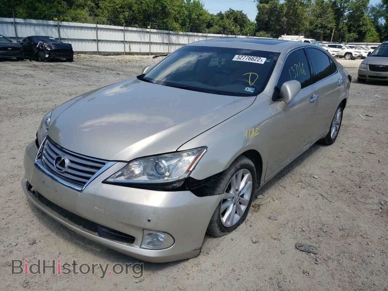 2010 LEXUS ES350 - VIN: JTHBK1EG8A2398044 - Фото 2