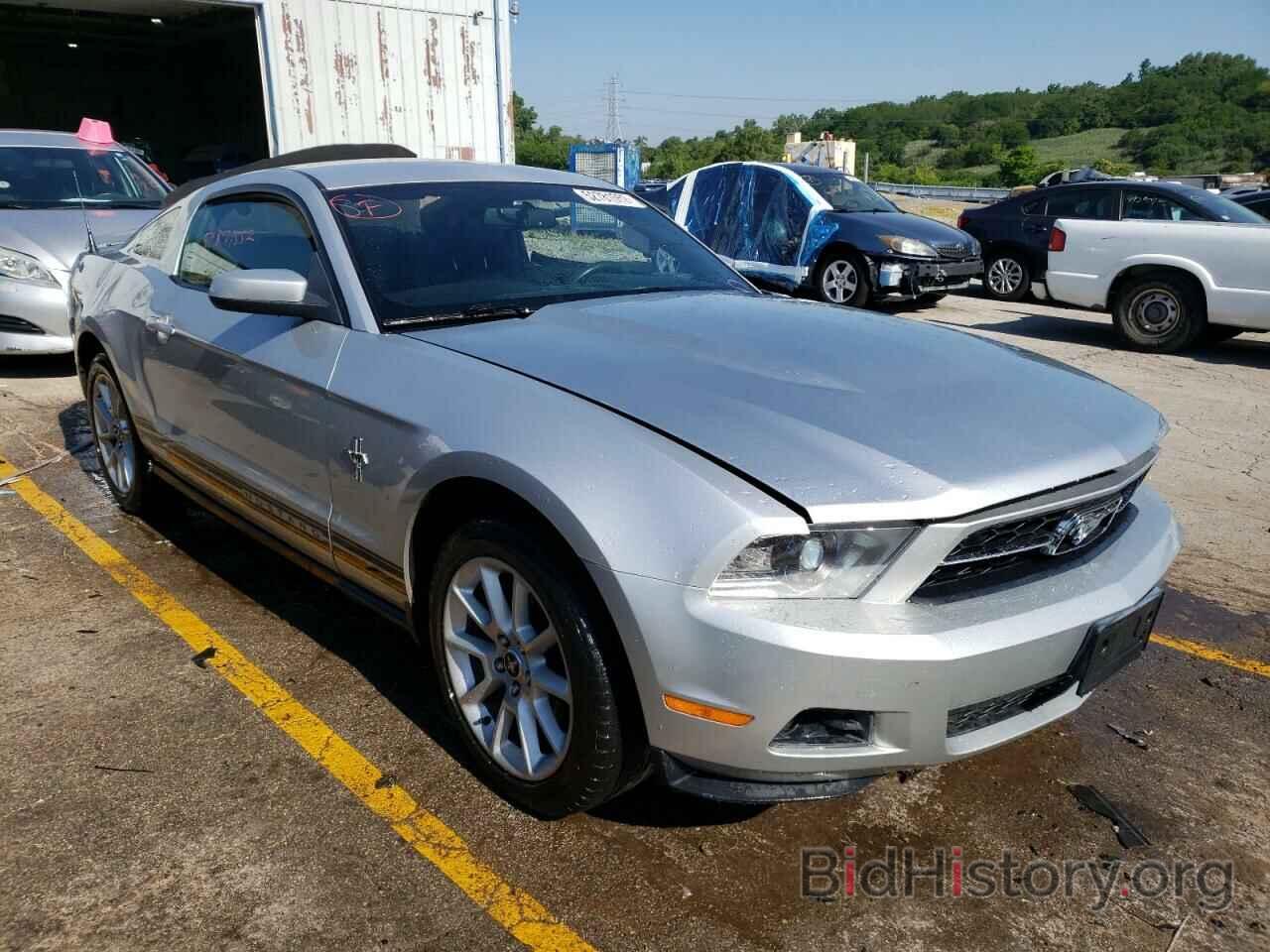 Photo 1ZVBP8AN6A5134350 - FORD MUSTANG 2010