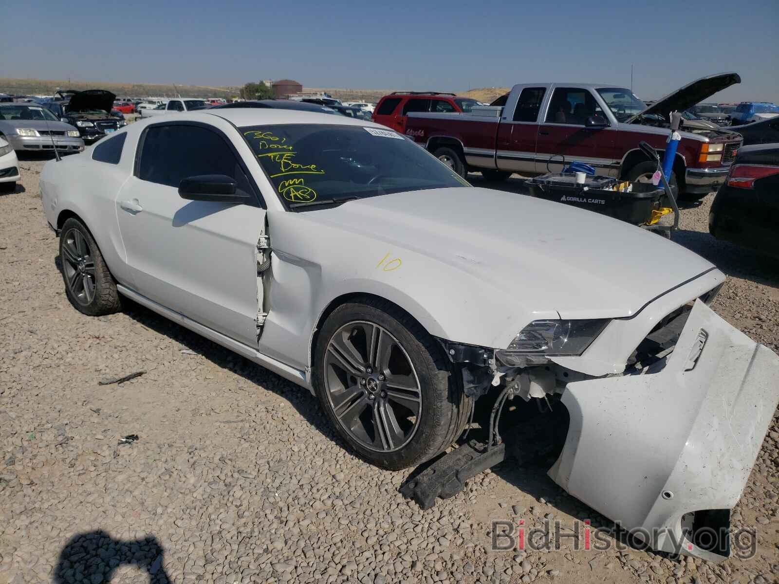 Photo 1ZVBP8AM3E5254877 - FORD MUSTANG 2014