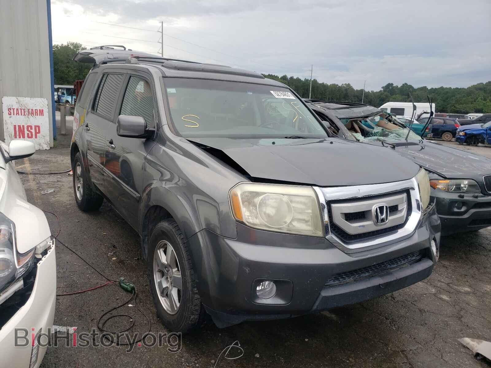 Photo 5FNYF3H55BB040243 - HONDA PILOT 2011