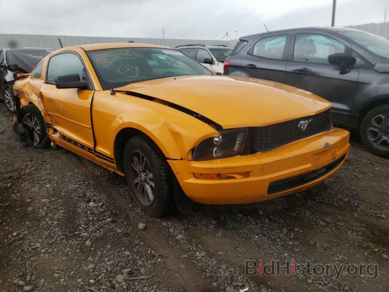 Photo 1ZVHT80N885206988 - FORD MUSTANG 2008