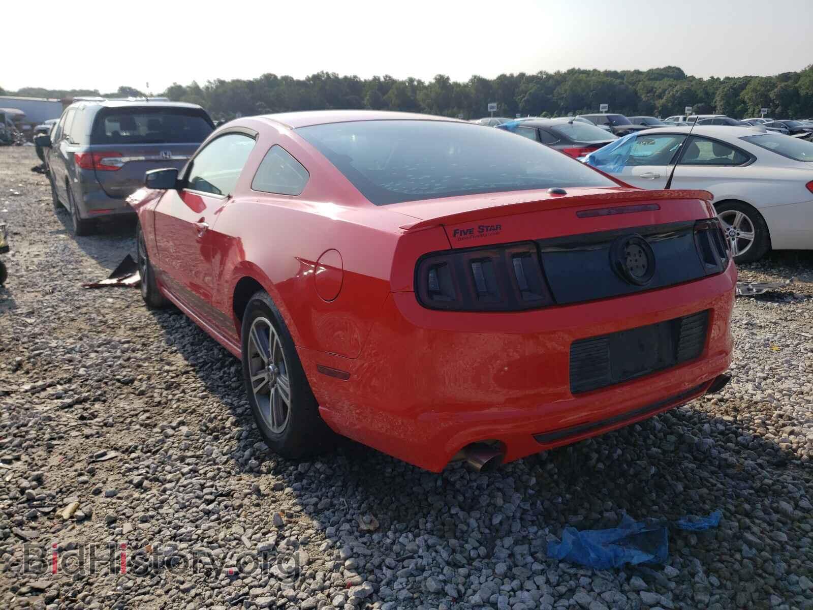 2013 FORD MUSTANG - VIN: 1ZVBP8AM8D5227575 - Фото 3