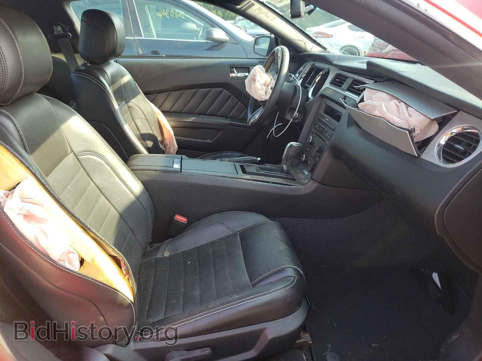 2013 FORD MUSTANG - VIN: 1ZVBP8AM8D5227575 - Фото 5