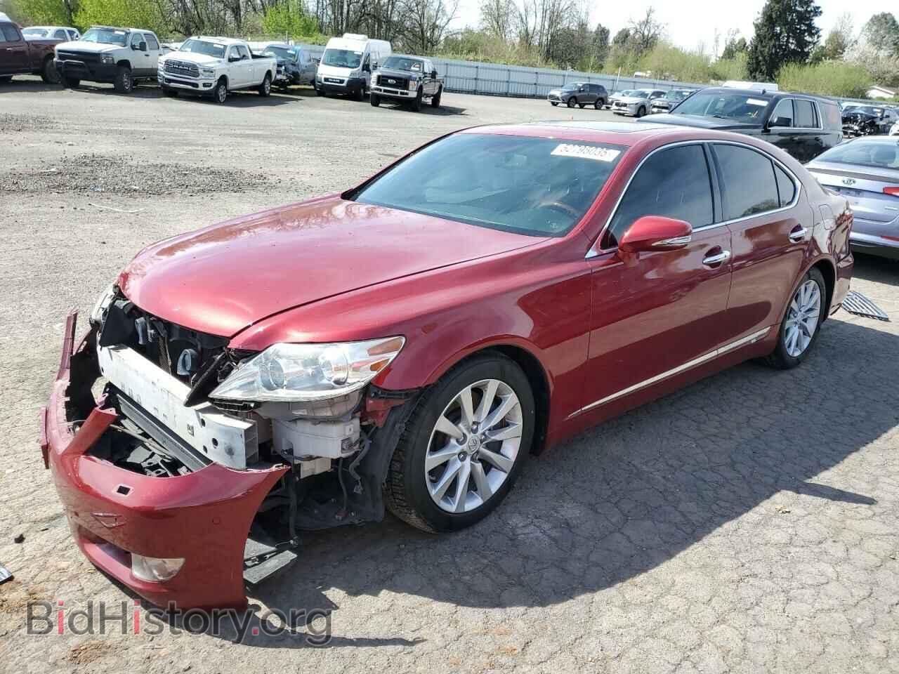 Фотография JTHCL5EF2A5008358 - LEXUS LS460 2010