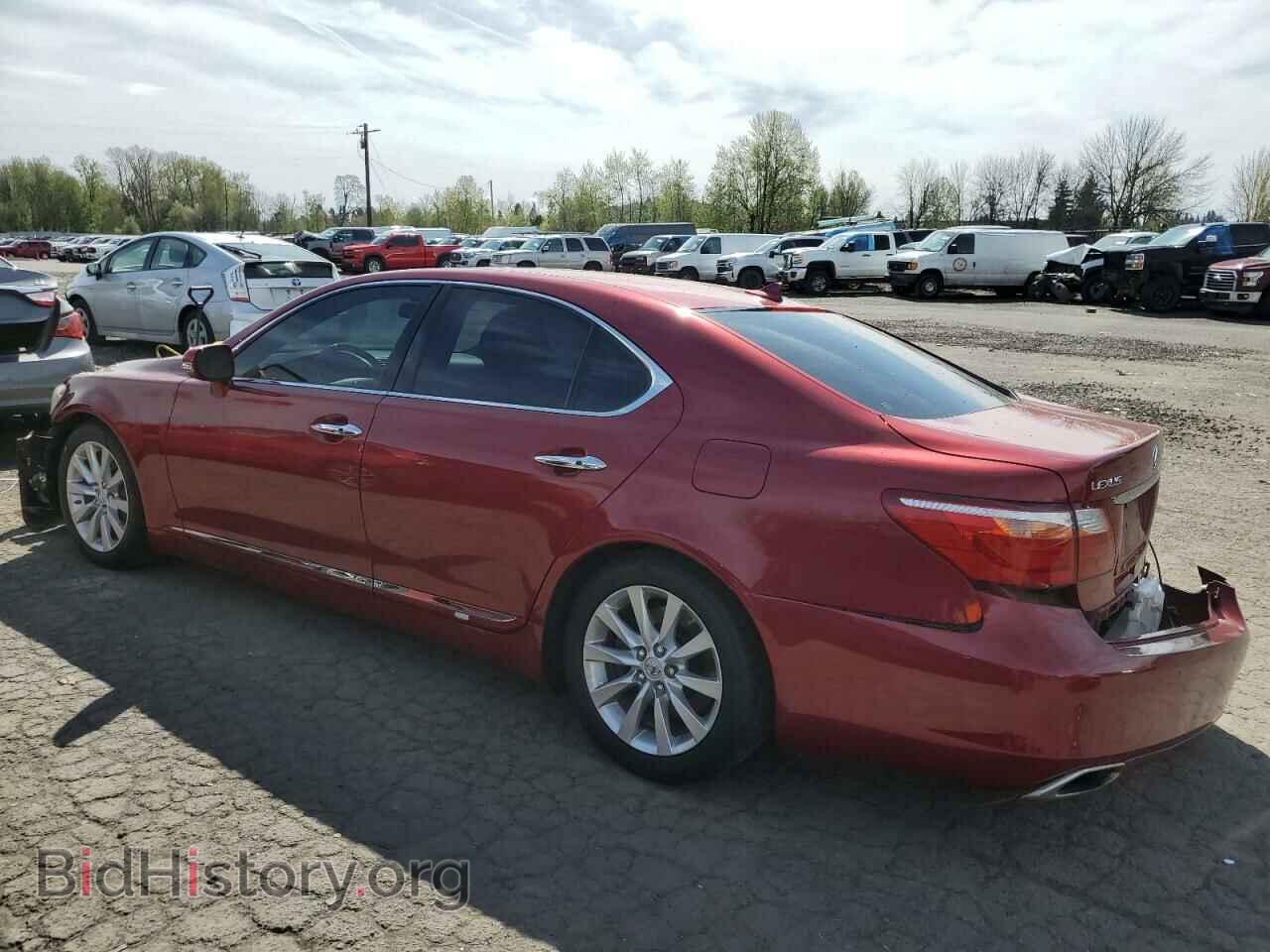 2010 LEXUS LS460 - VIN: JTHCL5EF2A5008358 - Фото 2