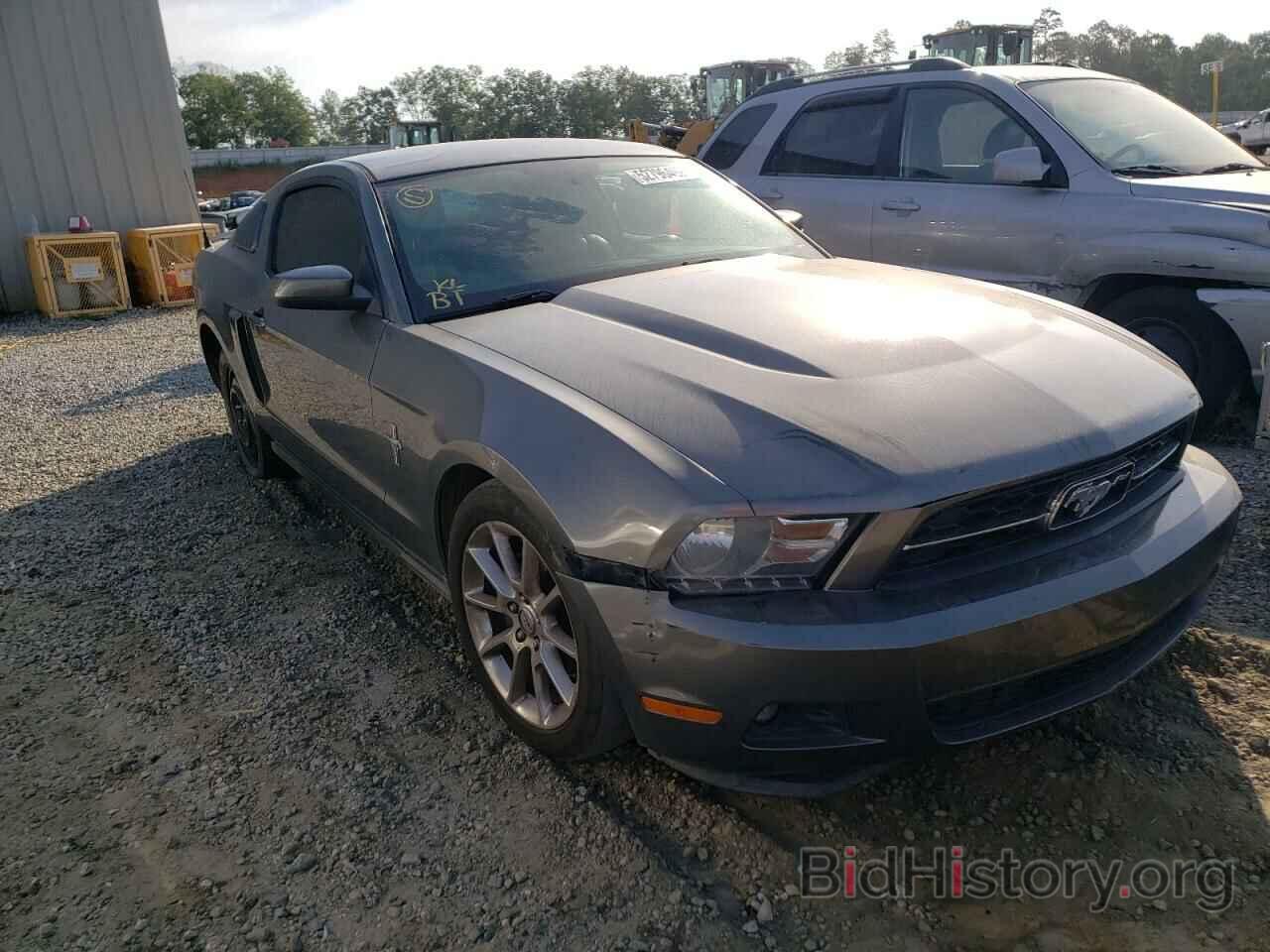 Photo 1ZVBP8AN6A5177425 - FORD MUSTANG 2010