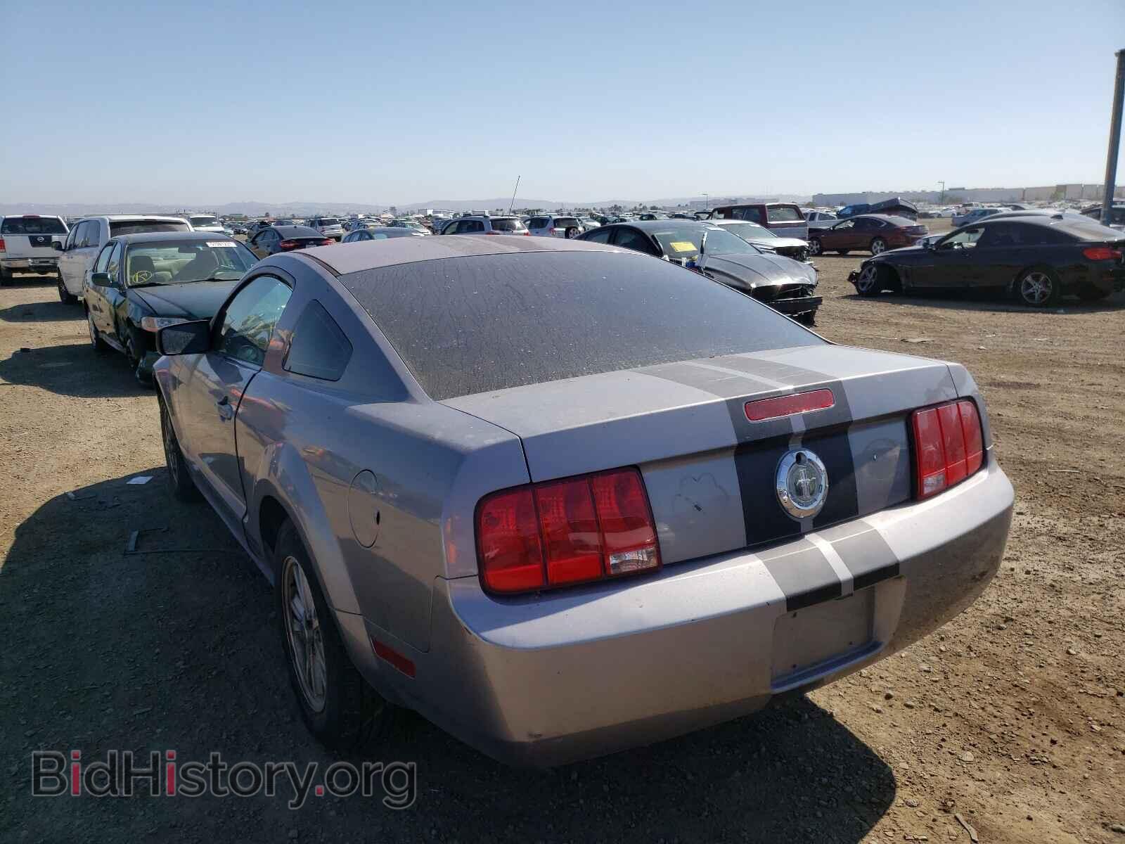 2006 FORD MUSTANG - VIN: 1ZVHT80N965162075 - Фото 3