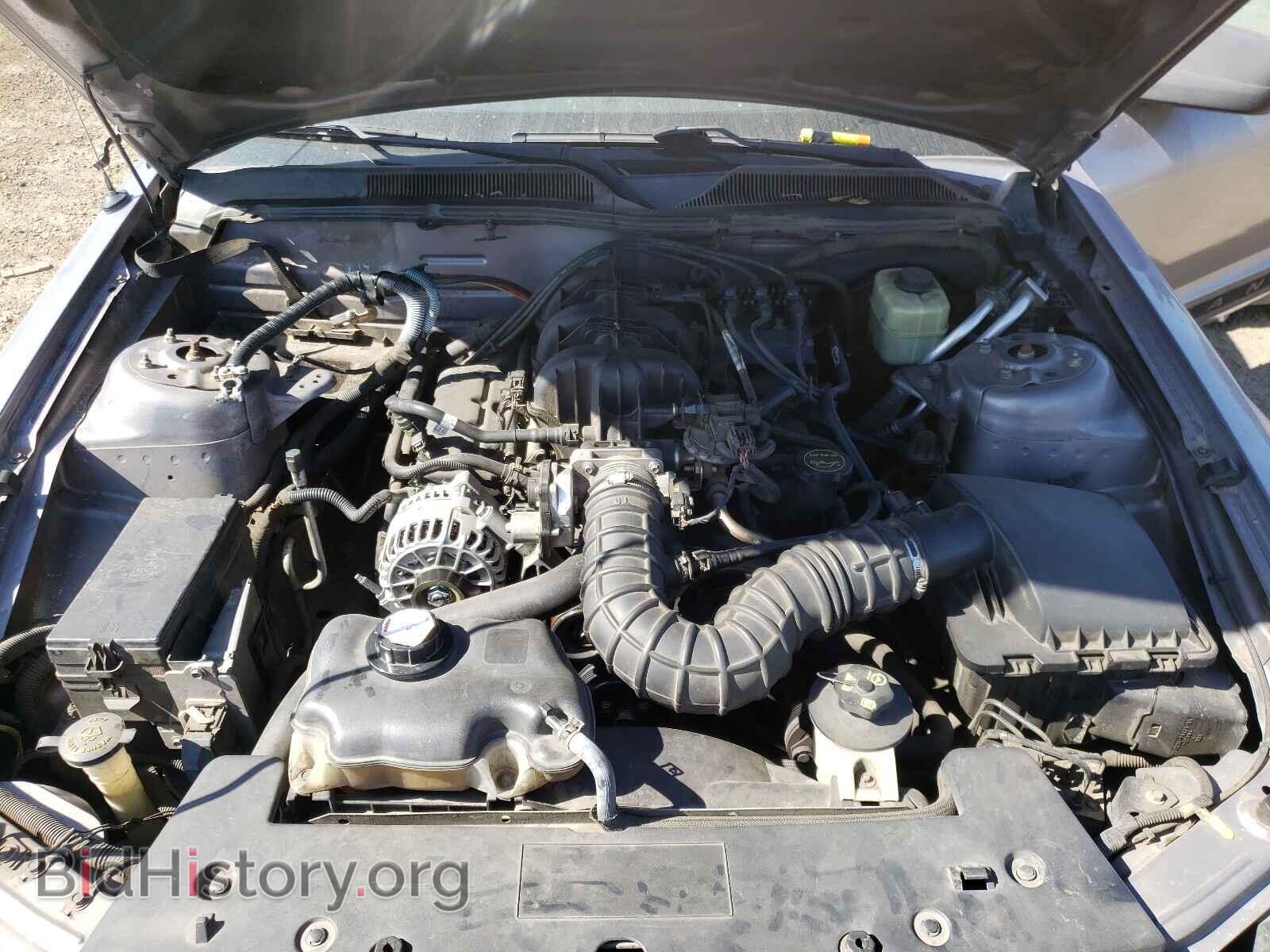 2006 FORD MUSTANG - VIN: 1ZVHT80N965162075 - Фото 7