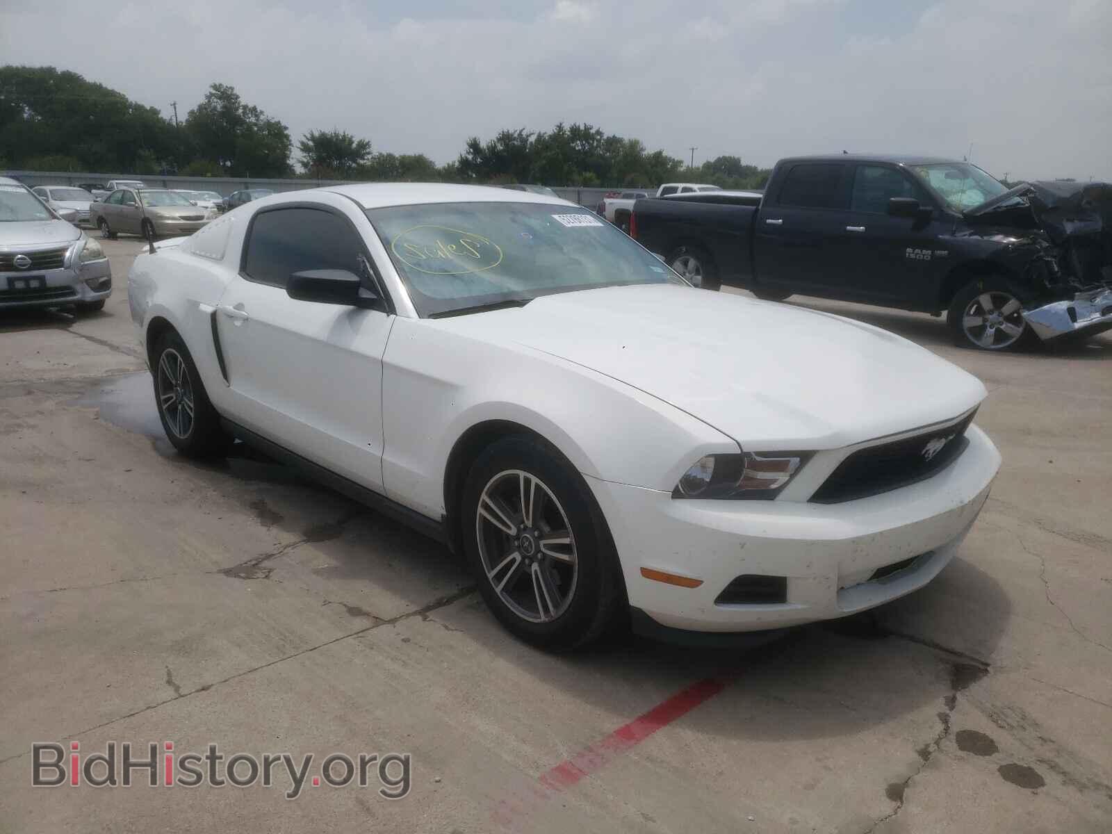 Фотография 1ZVBP8AN2A5149606 - FORD MUSTANG 2010