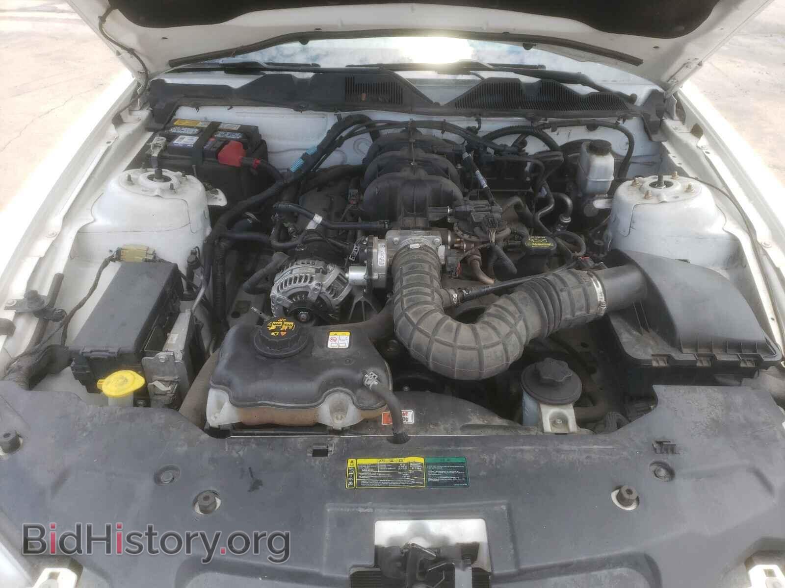 2010 FORD MUSTANG - VIN: 1ZVBP8AN2A5149606 - Фото 7
