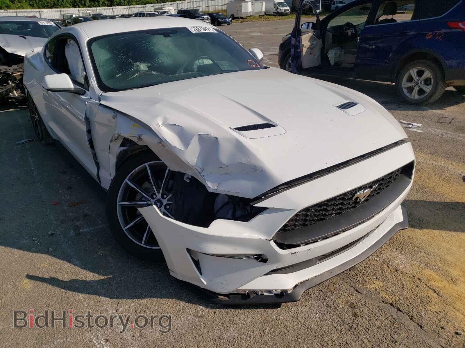 Photo 1FA6P8TH3K5117749 - FORD MUSTANG 2019