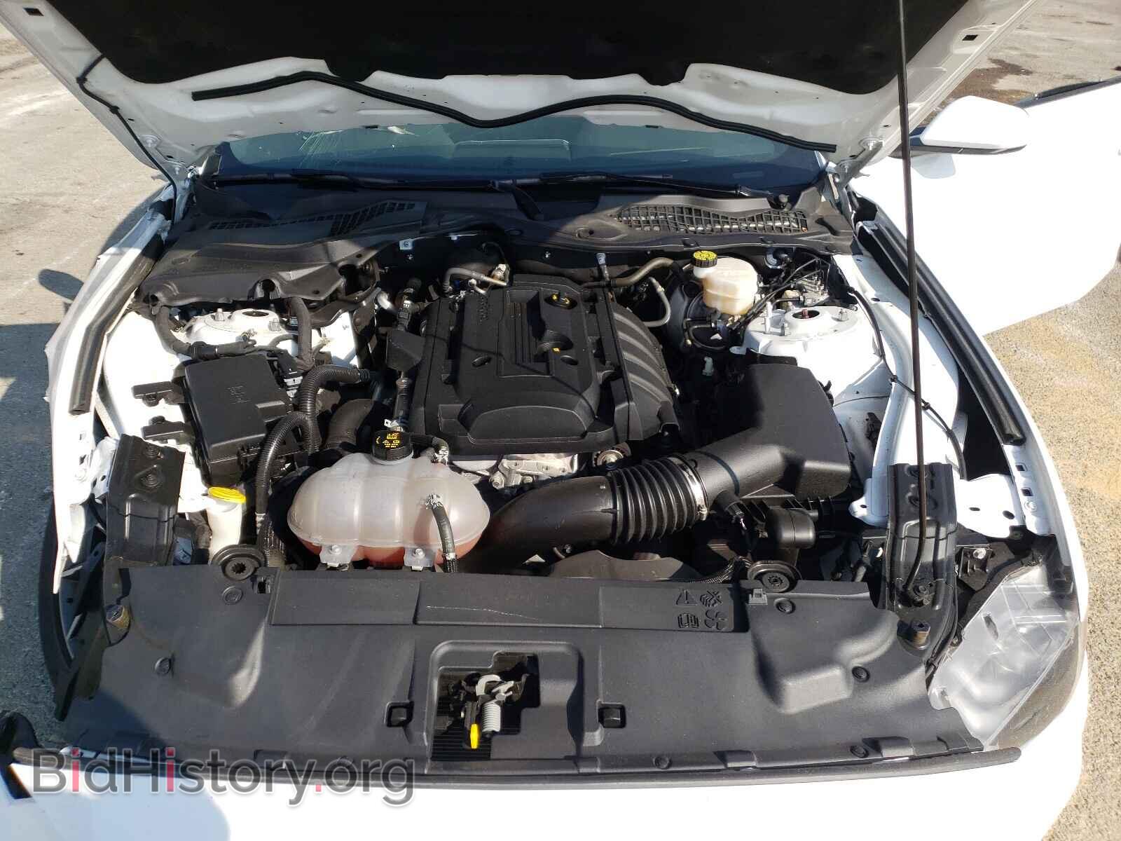 2019 FORD MUSTANG - VIN: 1FA6P8TH3K5117749 - Фото 7