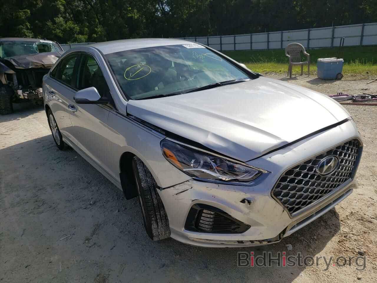 Photo 5NPE34AF7KH790698 - HYUNDAI SONATA 2019