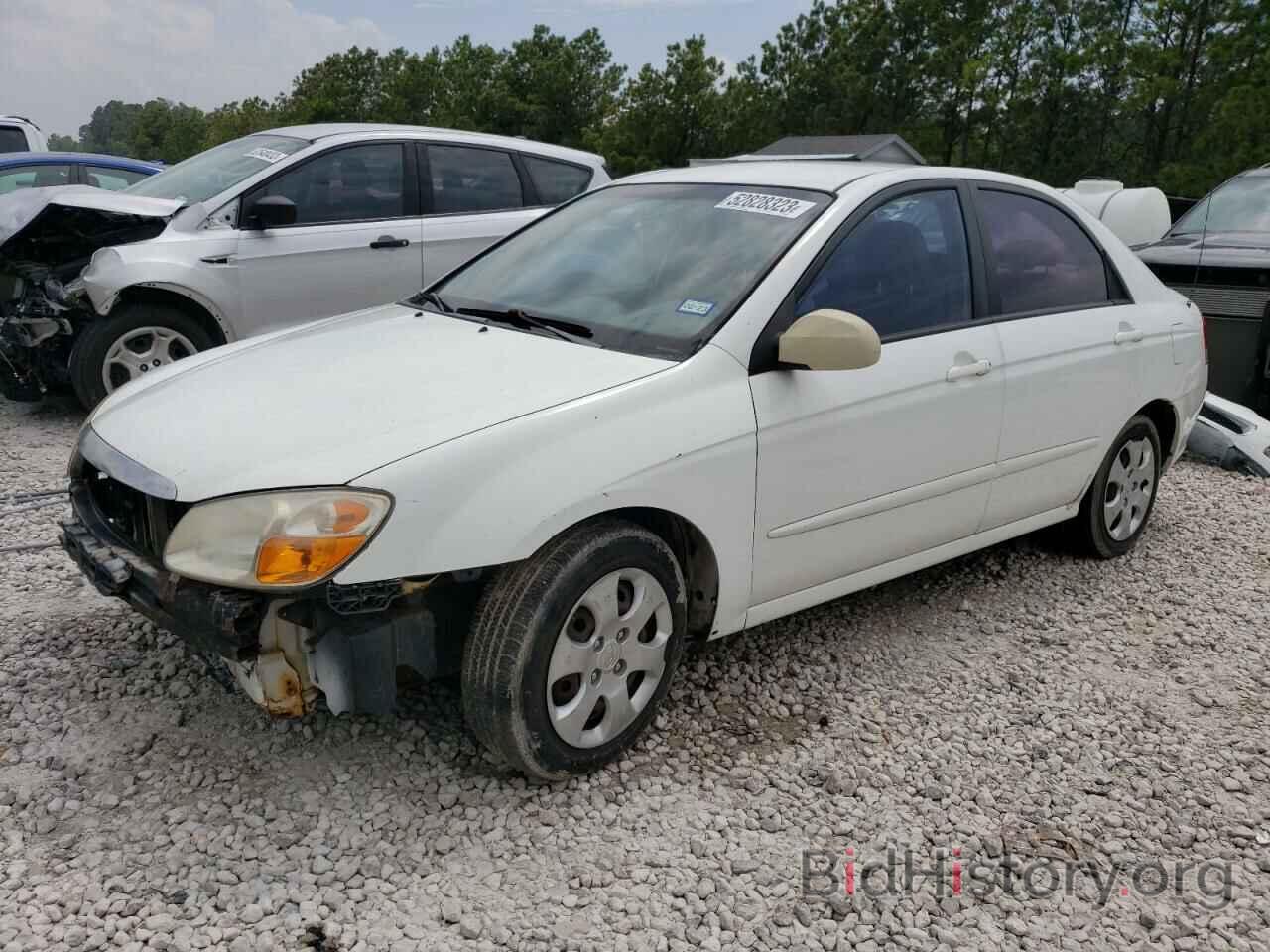 Photo KNAFE122X85544212 - KIA SPECTRA 2008