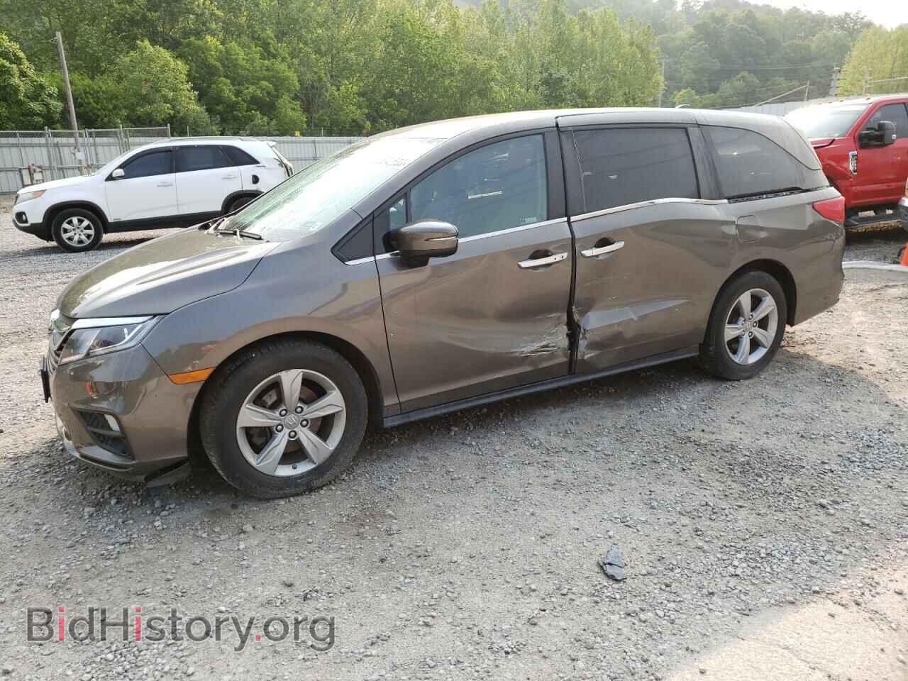 Photo 5FNRL6H54LB054683 - HONDA All Models 2020
