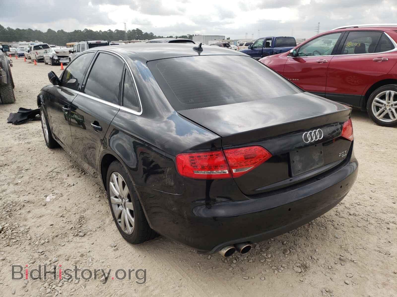 2010 AUDI A4 - VIN: WAUHFAFL5AN062228 - Фото 3