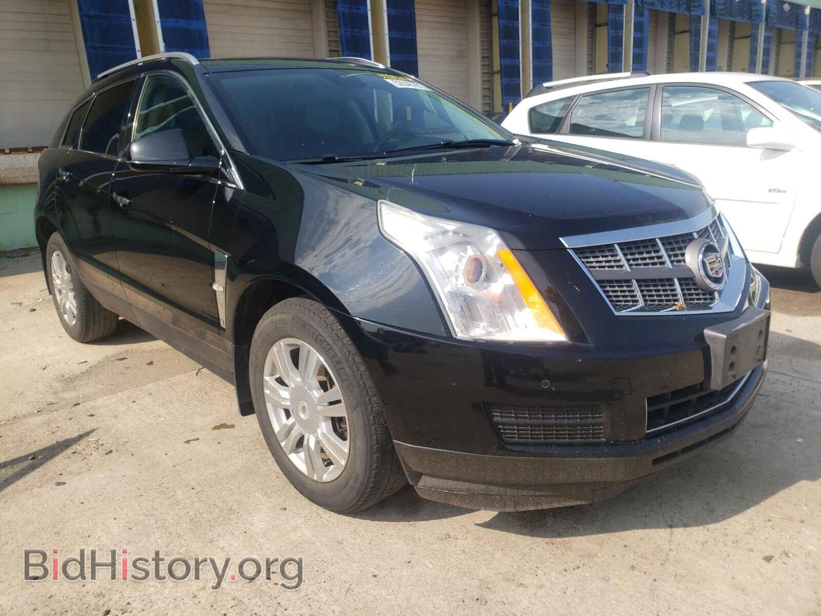 Фотография 3GYFNDEY8AS649812 - CADILLAC SRX 2010