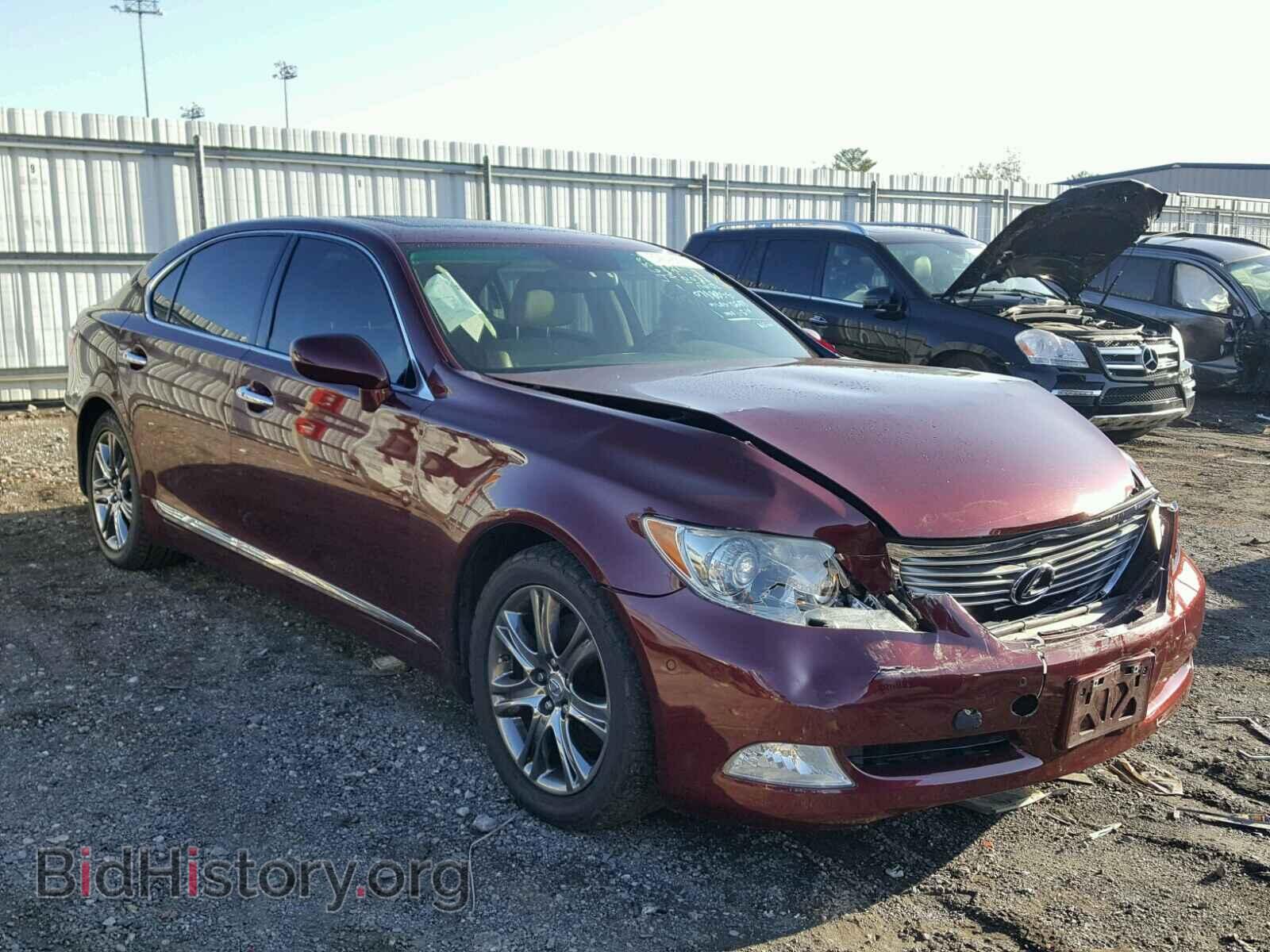 Фотография JTHGL46F685025796 - LEXUS LS460 2008