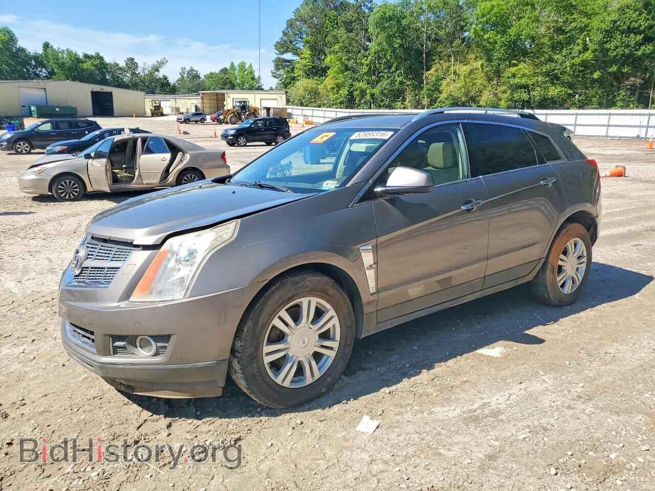 Фотография 3GYFNFEY1BS510781 - CADILLAC SRX 2011