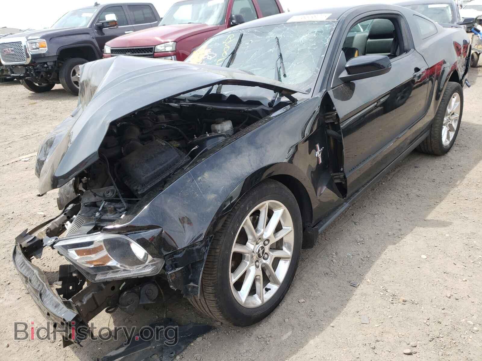 2011 FORD MUSTANG - VIN: 1ZVBP8AM7B5169214 - Фото 2