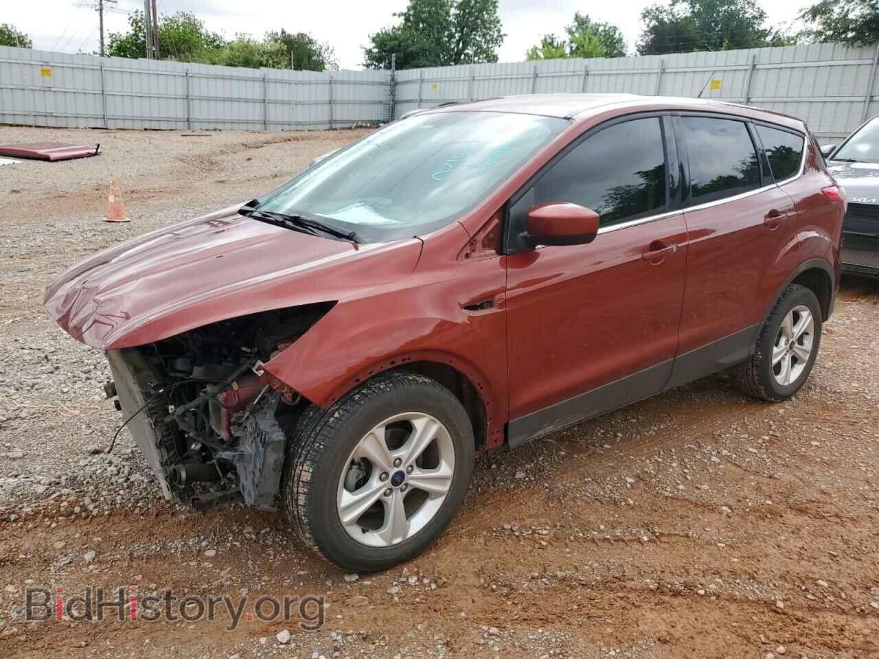 Фотография 1FMCU0GX5EUD64799 - FORD ESCAPE 2014