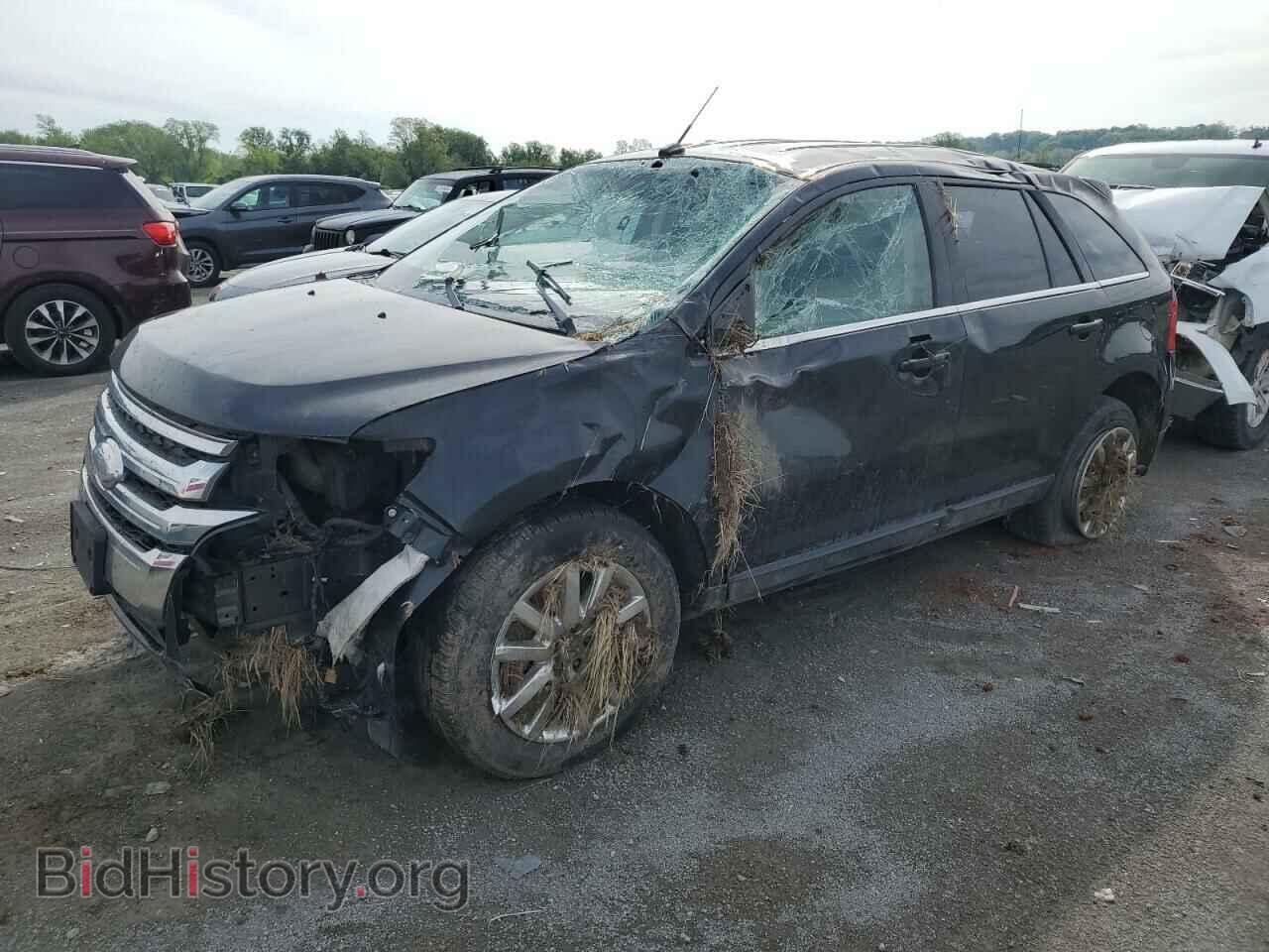 Фотография 2FMDK3KC8EBA46827 - FORD EDGE 2014