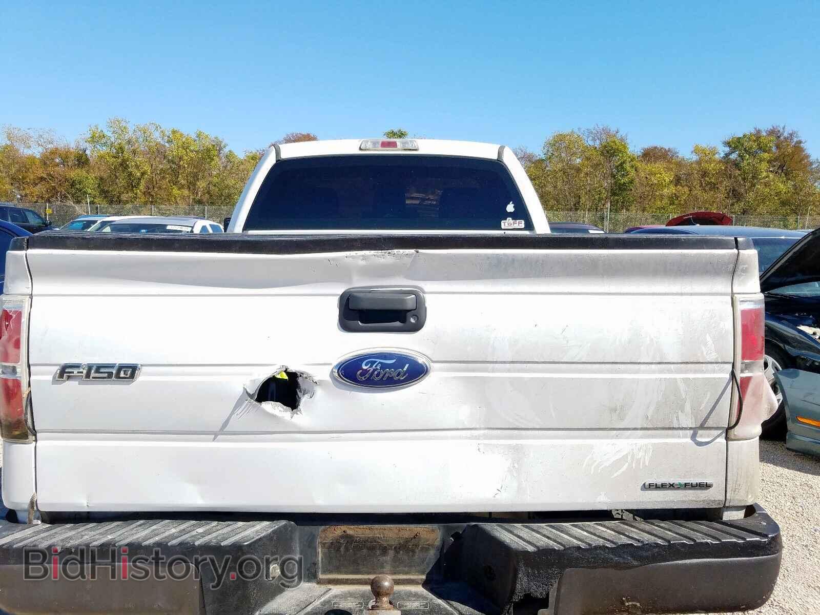 2013 FORD F150 - VIN: 1FTMF1CM6DFD02853 - Фото 6