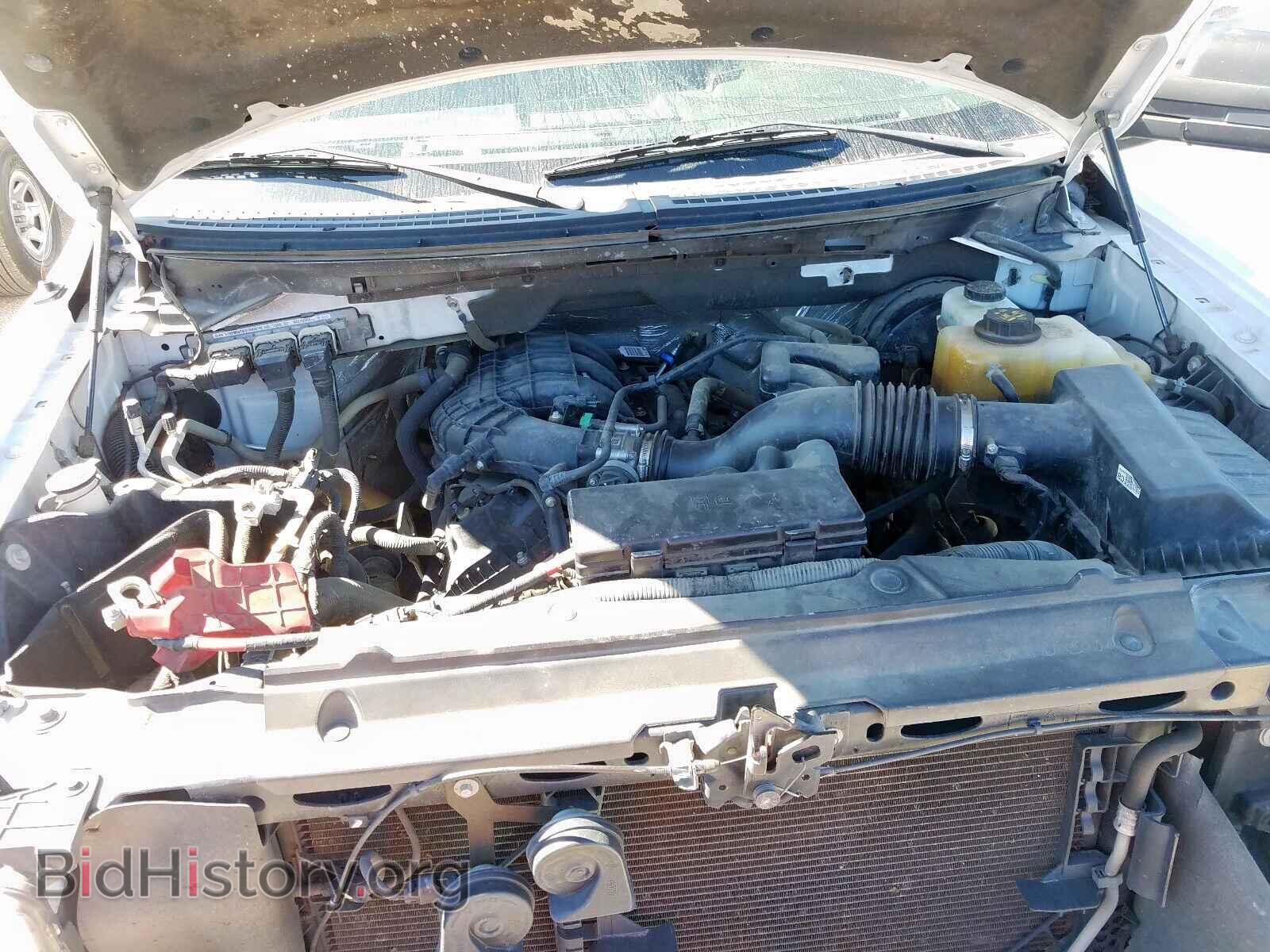 2013 FORD F150 - VIN: 1FTMF1CM6DFD02853 - Фото 7