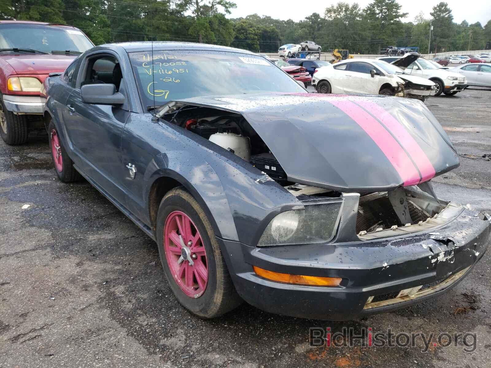 Photo 1ZVHT80N495116951 - FORD MUSTANG 2009