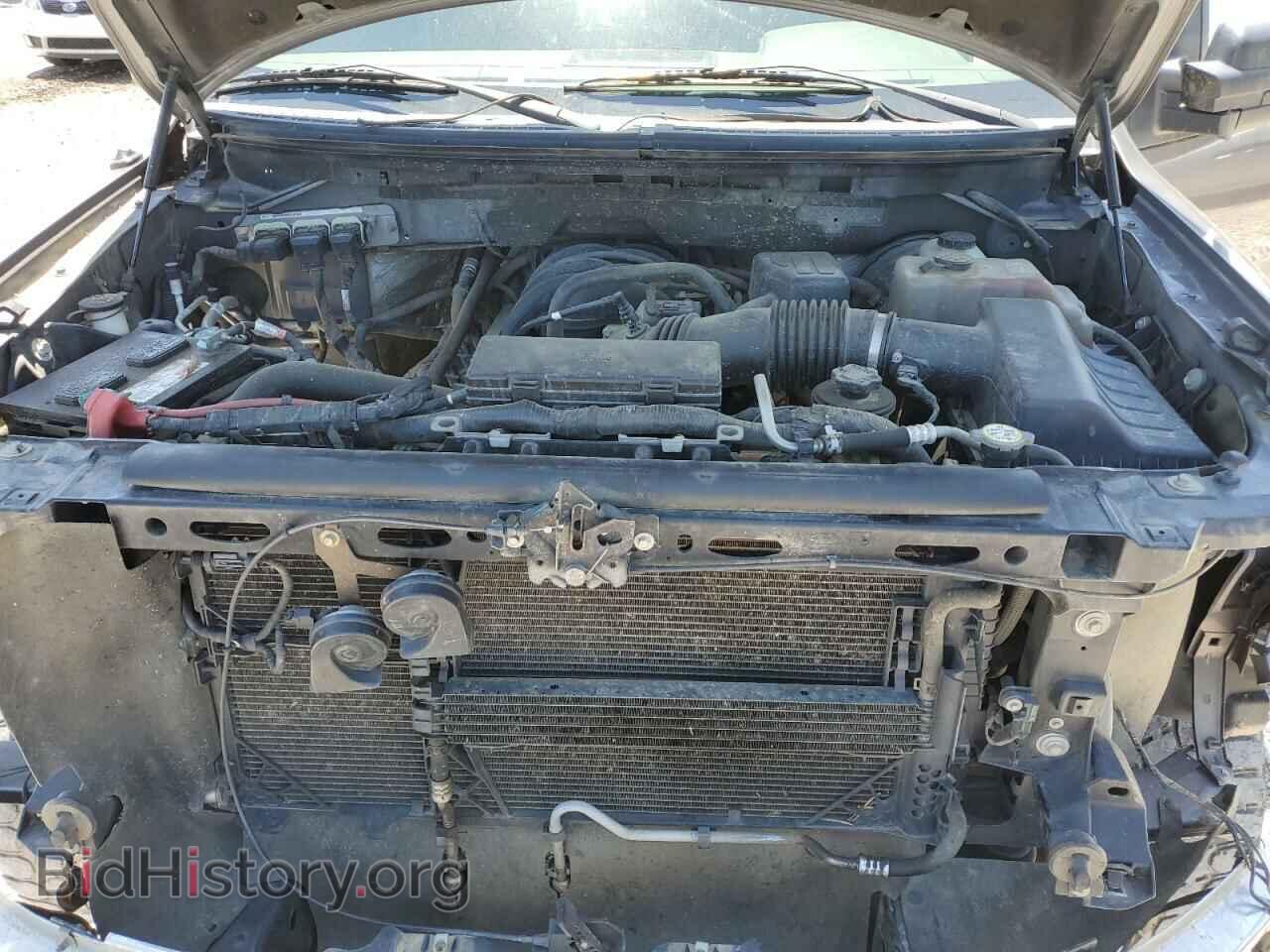 2010 FORD F-150 - VIN: 1FTEW1C84AKB60433 - Фото 11