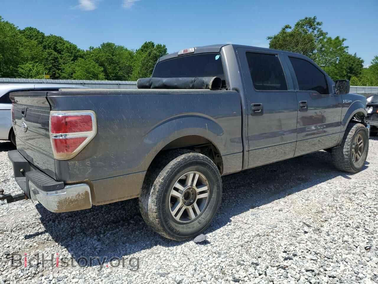 2010 FORD F-150 - VIN: 1FTEW1C84AKB60433 - Фото 3