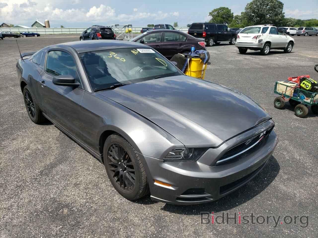 Photo 1ZVBP8AM3E5334695 - FORD MUSTANG 2014