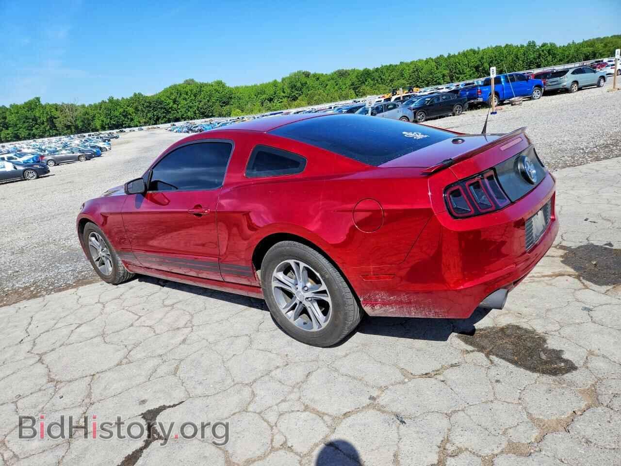 2014 FORD MUSTANG - VIN: 1ZVBP8AM7E5297375 - Фото 2