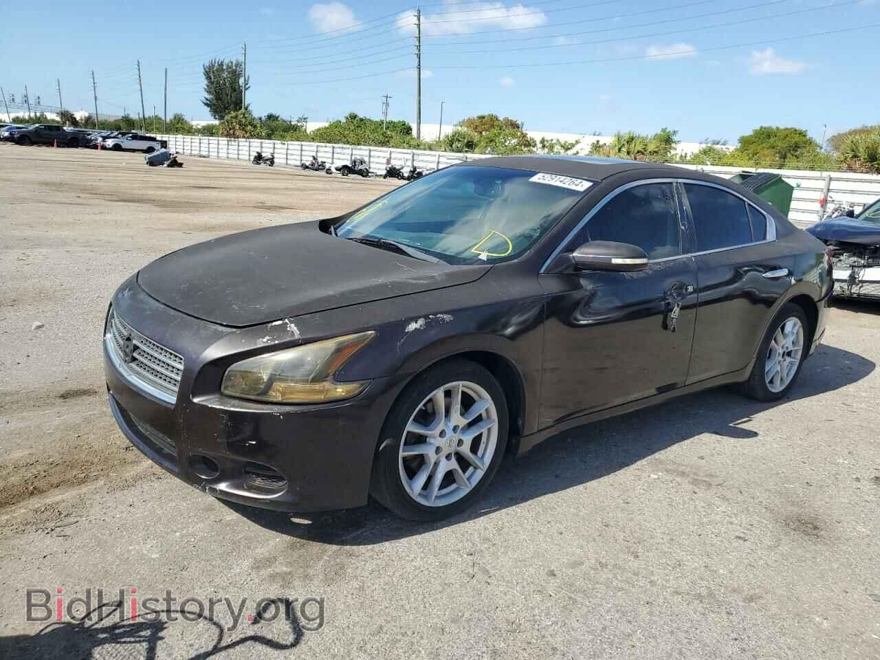 Фотография 1N4AA5APXBC830146 - NISSAN MAXIMA 2011