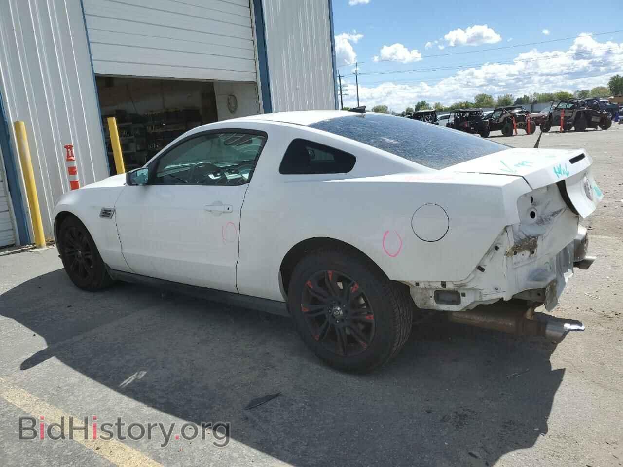 2012 FORD ALL Models - VIN: 1ZVBP8AM7C5211320 - Фото 2